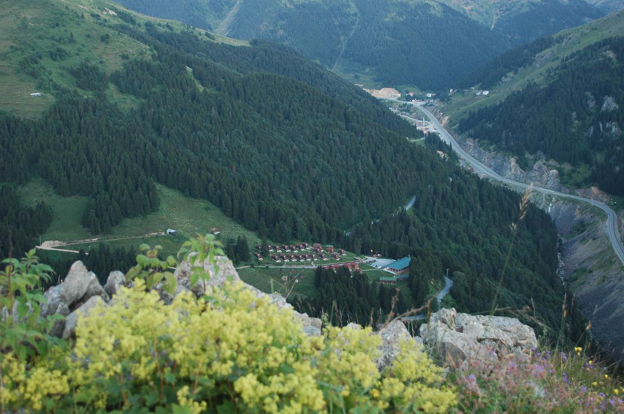 Zitas Zigana Yayla Tatil Koyu Macka ภายนอก รูปภาพ