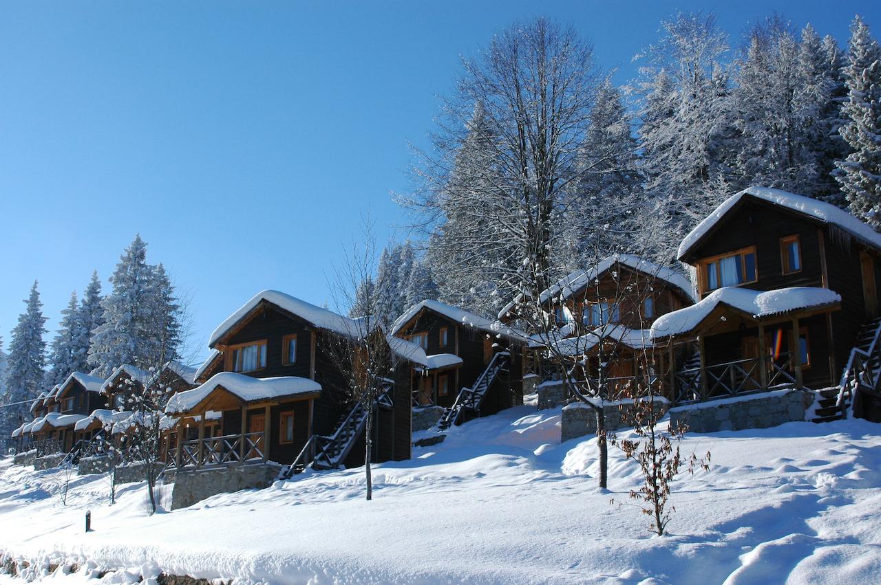 Zitas Zigana Yayla Tatil Koyu Macka ภายนอก รูปภาพ