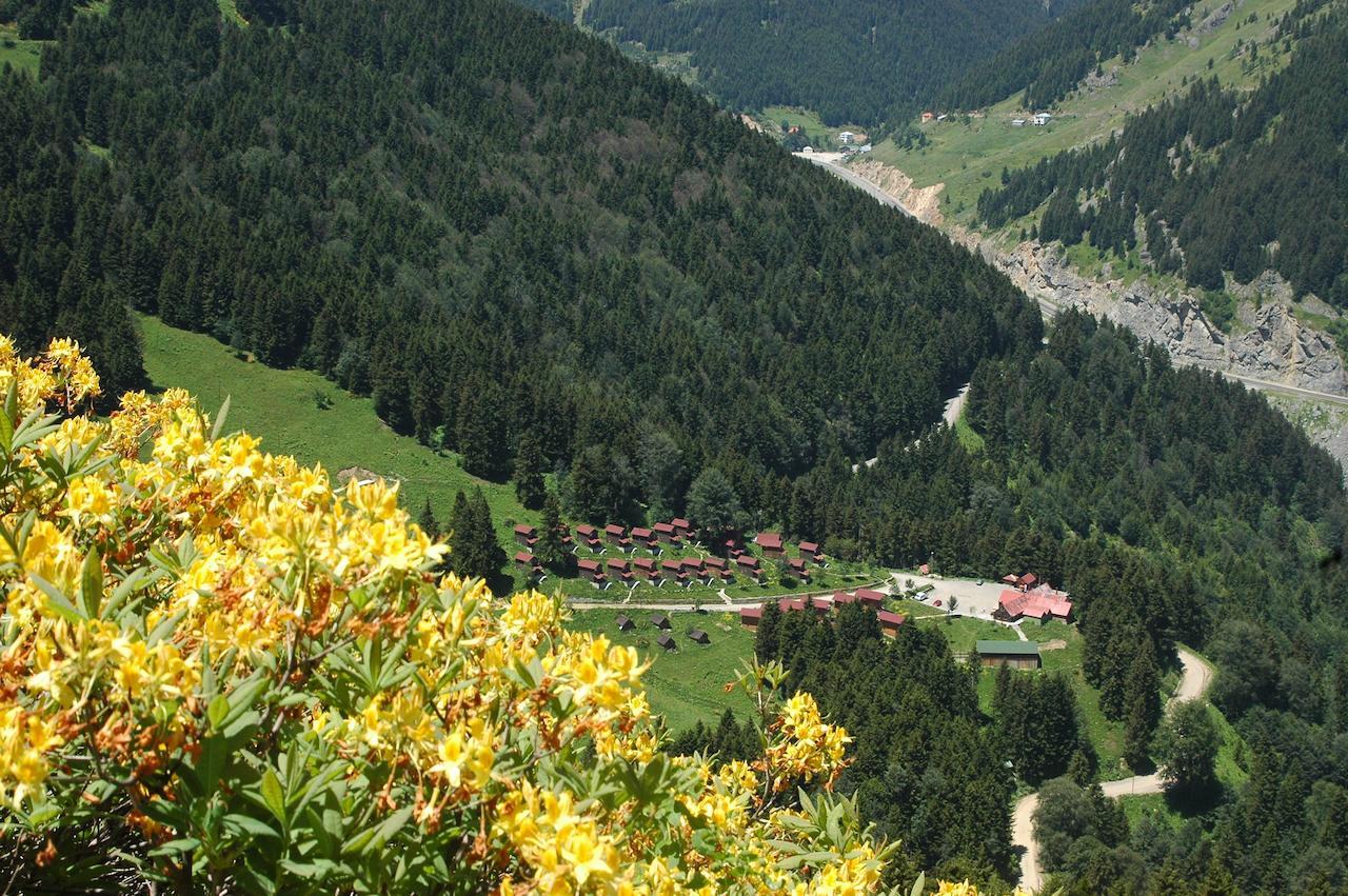 Zitas Zigana Yayla Tatil Koyu Macka ภายนอก รูปภาพ